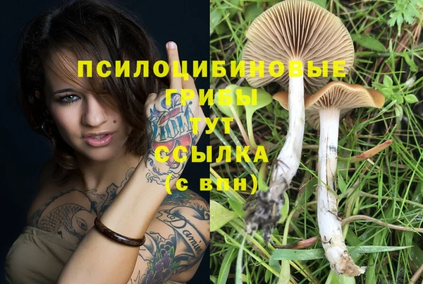 гидропоника Навашино
